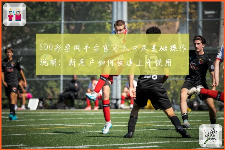 500彩票网平台官方入口及基础操作说明：新用户如何快速上手使用