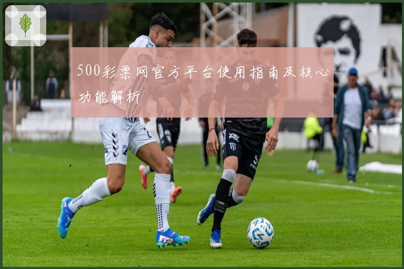 500彩票网官方平台使用指南及核心功能解析