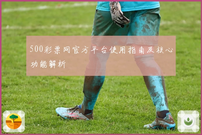 500彩票网官方平台使用指南及核心功能解析